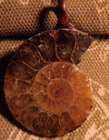 Ammonite Pendant