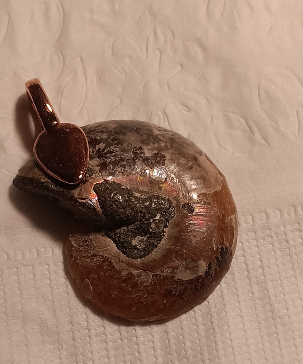 Ammonite Pendant