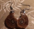 Ammonite Earrings