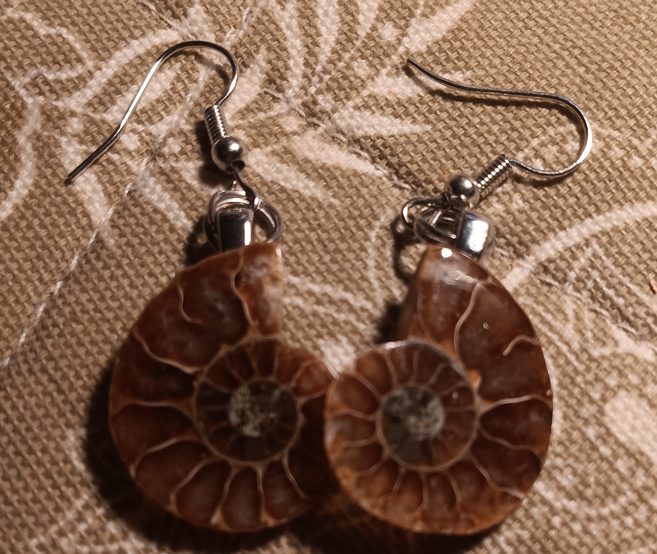 Ammonite Earrings