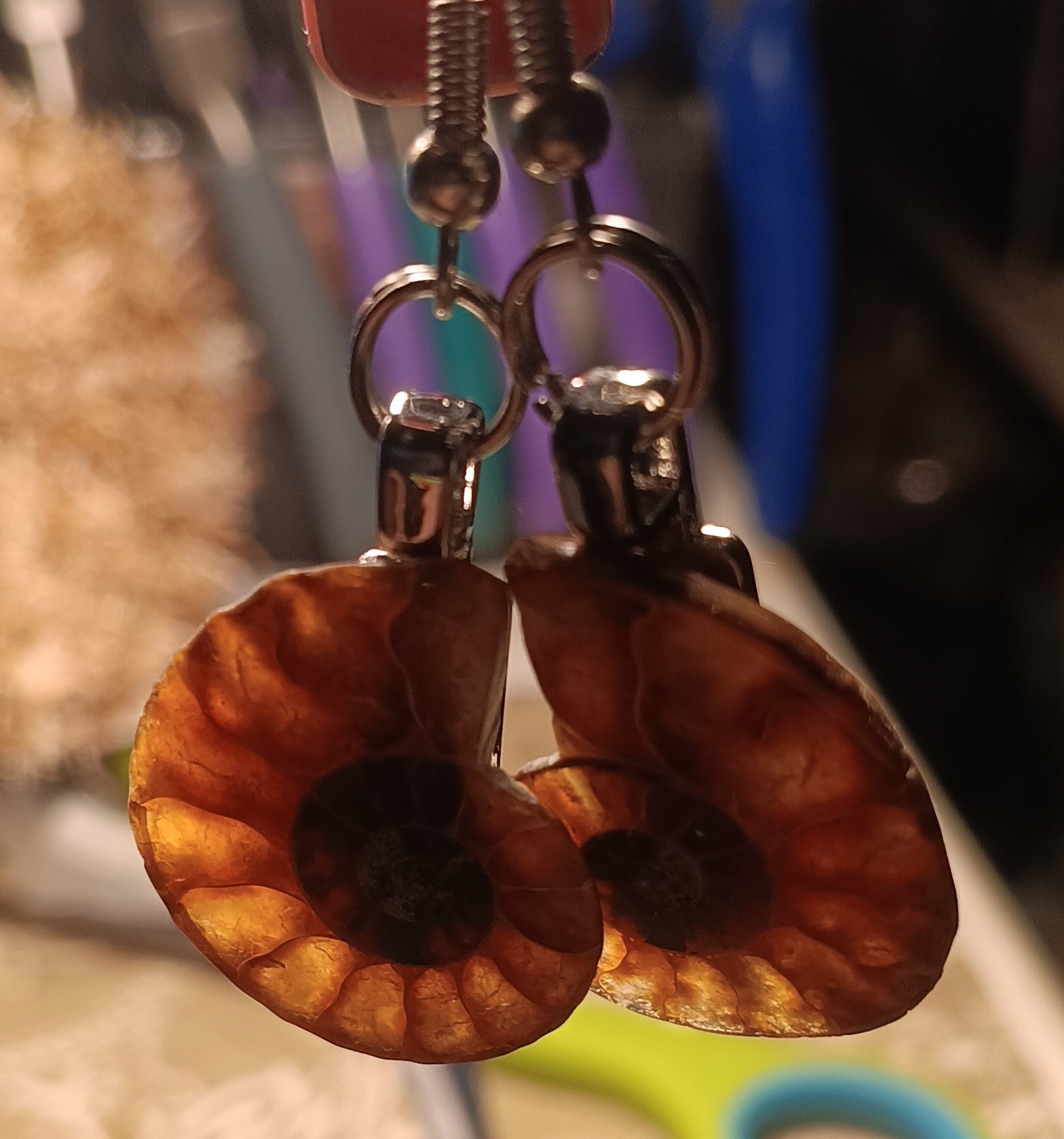 Ammonite Earrings